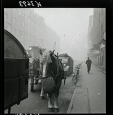 542/B Dimma. En häst med vagn har parkerat på gatan.  Hästen äter ur en säck.