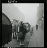 542/B Dimma. En häst med vagn har parkerat på gatan.  Hästen äter ur en säck.