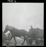 542/B Dimma. Häst och vagn.