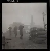 542/B Dimma. Lossning av (potatis?)säckar vid kaj.