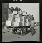 544 Leksaker Osby Trenter