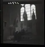 548 01 Red. Leon Urwitz. Bröllop