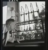 554 Statens Institut för folkhälsan