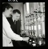 554 Statens Institut för folkhälsan