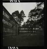 554 Statens Institut för folkhälsan