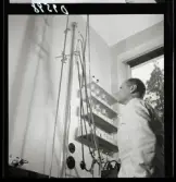 554 Statens Institut för folkhälsan