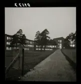 554 Statens Institut för folkhälsan