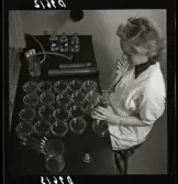 554 Statens Institut för folkhälsan