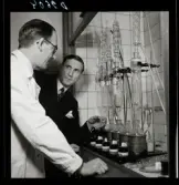 554 Statens Institut för folkhälsan