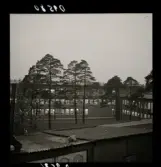 554 Statens Institut för folkhälsan