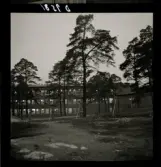 554 Statens Institut för folkhälsan