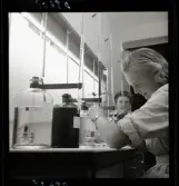 554 Statens Institut för folkhälsan