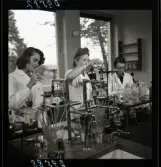 554 Statens Institut för folkhälsan