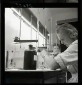 554 Statens Institut för folkhälsan