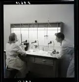 554 Statens Institut för folkhälsan