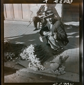 568 F. Stieg Trenter, Torremolinos. Man säljer blommor på trottoaren.