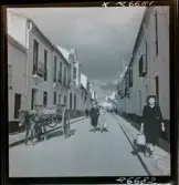 568 F. Stieg Trenter, Torremolinos. Gatuliv.