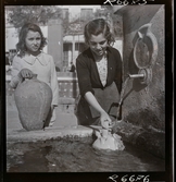 568 F. Stieg Trenter, Torremolinos. Två flickor hämtar vatten vid en springbrunn på ett torg.