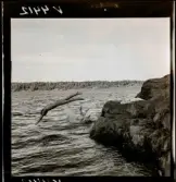 568 L Stieg Trenter på torpet