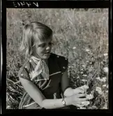 568 L Stieg Trenter på torpet