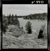 568 L Stieg Trenter på torpet