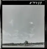 568 L Stieg Trenter på torpet