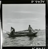 568 L Stieg Trenter på torpet