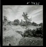 568 L Stieg Trenter på torpet