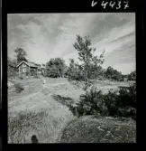 568 L Stieg Trenter på torpet