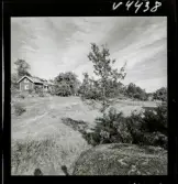 568 L Stieg Trenter på torpet