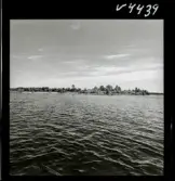 568 L Stieg Trenter på torpet