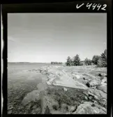 568 L Stieg Trenter på torpet