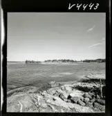 568 L Stieg Trenter på torpet