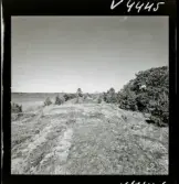 568 L Stieg Trenter på torpet