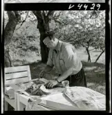 568 L Stieg Trenter på torpet