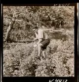 568 L Stieg Trenter på torpet