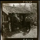 568/1 Trenter Stieg Sommar-Gåtebo. Tagning ateljén.