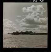 568/1 Trenter Stieg Sommar-Gåtebo. Tagning ateljén.