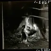 568/3 Stieg Trenter + KW i Gryt. Trenter i Italien foto Peter Gullers