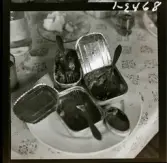 568/3 Stieg Trenter + KW i Gryt. Trenter i Italien foto Peter Gullers