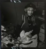 570 Vilt. Fågel. Saluhallen. Allers