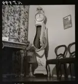 574 Riksdagsman Elis Håstad