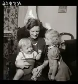 574 Riksdagsman Elis Håstad