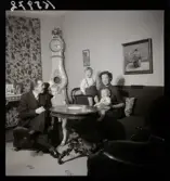 574 Riksdagsman Elis Håstad