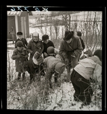 588 Lärarinna på Landet