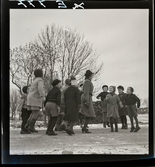 588 Lärarinna på Landet