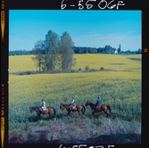 585/R Åtvidabergs Ind.