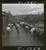 585/1 Åtvidabarg-Facit