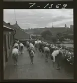 585/1 Åtvidabarg-Facit