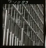 585/1 Åtvidabarg-Facit